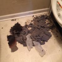 Burnt lint from inside a dryer